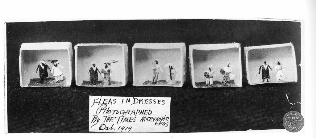 'Fleas in Dresses' Photographed by The Times in 1919