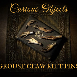 Pin on curious creatures