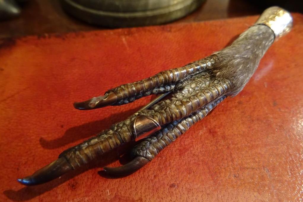A Victorian grouse claw pin with a macabre appearance